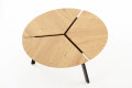 ANA magazine table
