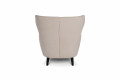 PAPILLON arm chair