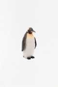 Dekors pingvīns BA D1831