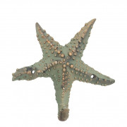 Starfish hanger BA D0963