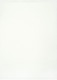 BASIC WHITE