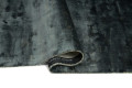 PLAIN DARK BLUE