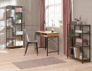 Desk Nr 027