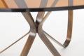 round table UNGO