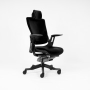 Ergonomic office chair AREON L