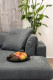 STATUS sofa