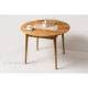 Scan Table D100+30cm