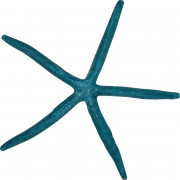 Table pad  Sea star