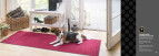 EFIA Hallway rug monochreom